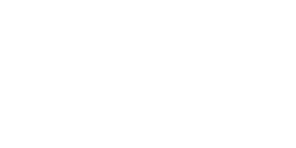 Wit footer Logo Robin Devid